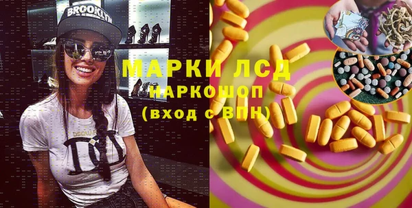 дмт Алзамай