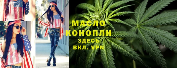 дмт Алзамай