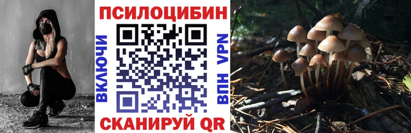 Галлюциногенные грибы Cubensis blacksprut сайт Петровск