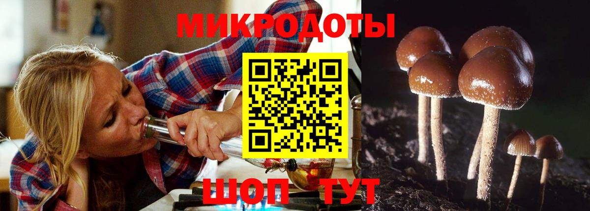 Петровск  Псилоцибиновые грибы мухоморы  Галлюциногенные грибы Psilocybine cubensis  дарнет шоп  Вход с VPN 
